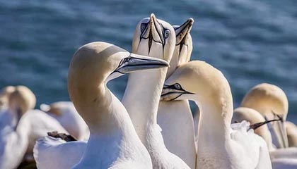 新葡京：从经典到未来的时尚赌场生活美学